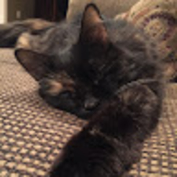 Meet your Posher, Alyssa - Picture 1 of 1